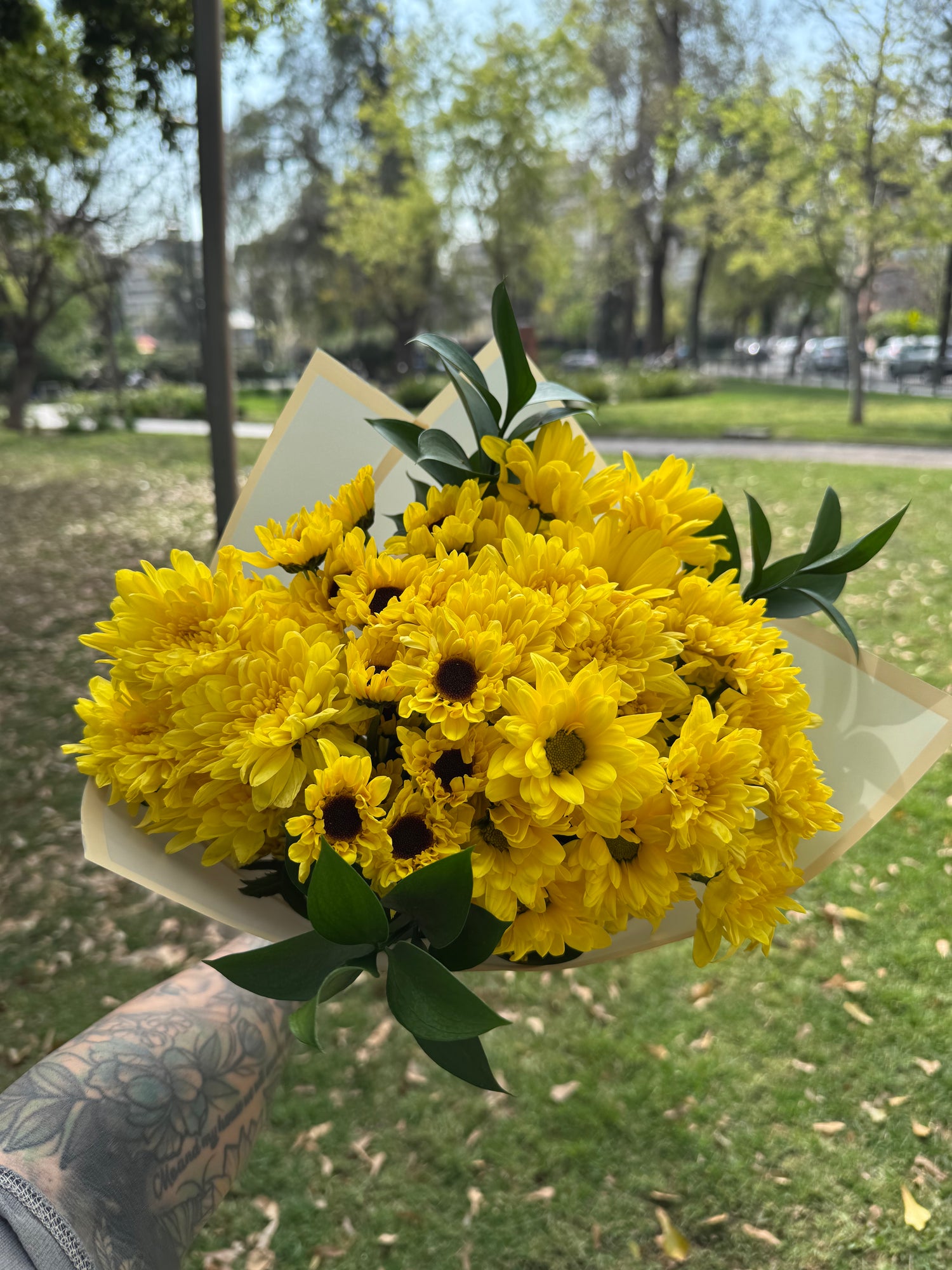 Amarillito 🌼