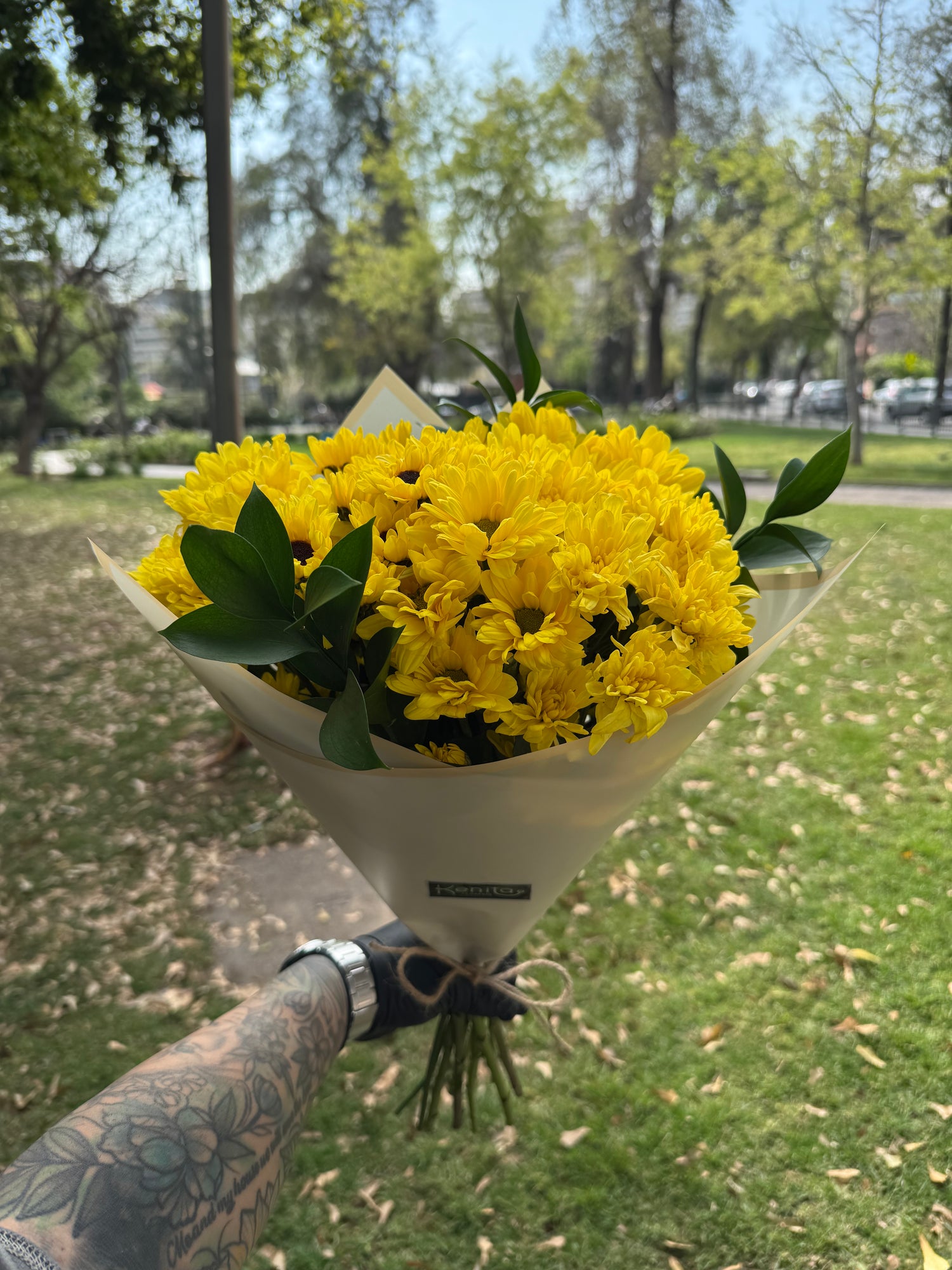 Amarillito 🌼